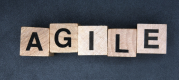 Agile Training in Qatar