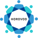 Horovod Training in Qatar