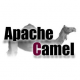 Apache Camel Training in Qatar