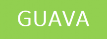 Guava Training in Qatar