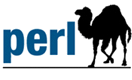 Perl Training in Qatar