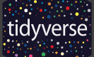 Tidyverse Training in Qatar